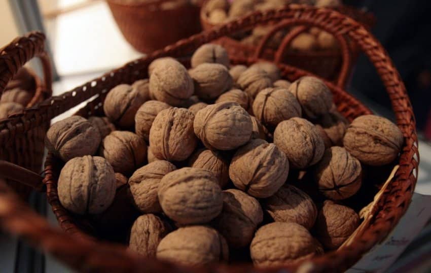 Hameaux de Miel Typical Gastronomy : Walnutes